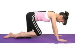 简单的瑜伽减肥动作,轻松瘦身的五大基础动作