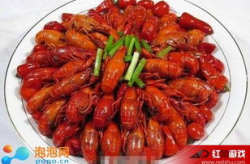 娱乐猪大虾,揭秘网络红人的崛起之路