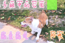 每日吃瓜51吃瓜,揭秘娱乐圈背后的那些事儿