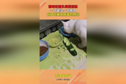 娱乐吃瓜酱罐头,从421文件看隐秘的瓜田风云