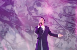 娱乐吃瓜酱李玉刚,仙气飘飘的娱乐传奇，人生百态的精彩演绎