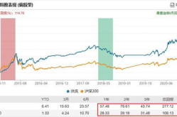 基金嘉实海外,多元化海外投资策略与稳健风险控制
