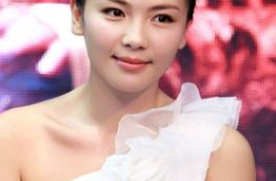 张译前妻刘涛资料,从荧幕女神到贤妻良母的蜕变之路