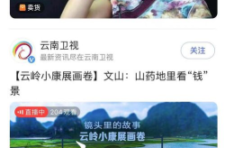 云南电视台直播,全景展现多彩云南魅力瞬间