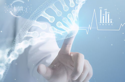 高清图片库,探索全球美景的视觉奇观