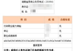 浙江省公务员考试成绩查询,时间、入口及分数线全解析”
