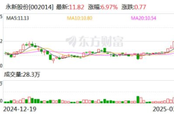 永新股份股票,2023年5月7日最新股价动态解析”