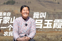 闪电深1度|在“沂蒙二姐”的诗歌中读懂和美乡村新农景-赞美雪的诗词