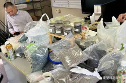 塑料交易,市场动态与投资策略解析