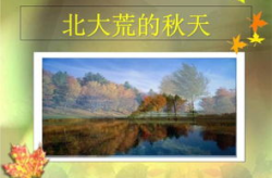 北大荒的秋天ppt,丰收画卷里的北大荒印象
