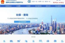 中国社会保障网,全面解读社会保障体系与政策