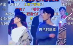 娱乐圈吃瓜酱是谁磕到了,揭秘“磕到”背后的明星恋情真相