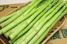 芦笋价格,市场动态解析