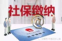 2020年社保补缴新政策,权益保障与操作指南