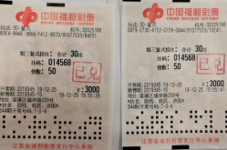 中彩网3d字谜,稳中求胜的预测策略与技巧”