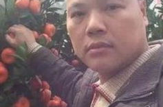 娱乐吃瓜橘子哥,橘子哥带你领略娱乐圈吃瓜盛宴